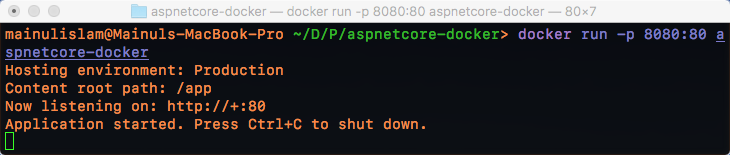 Run Docker Image